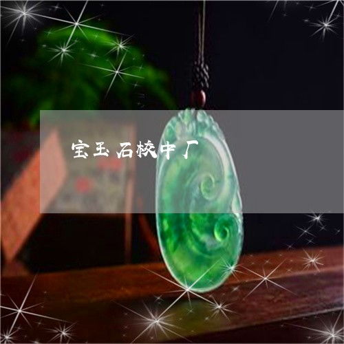 寶玉石校中廠 匠心育匠才——中級(jí)寶玉石課程的意義與實(shí)踐